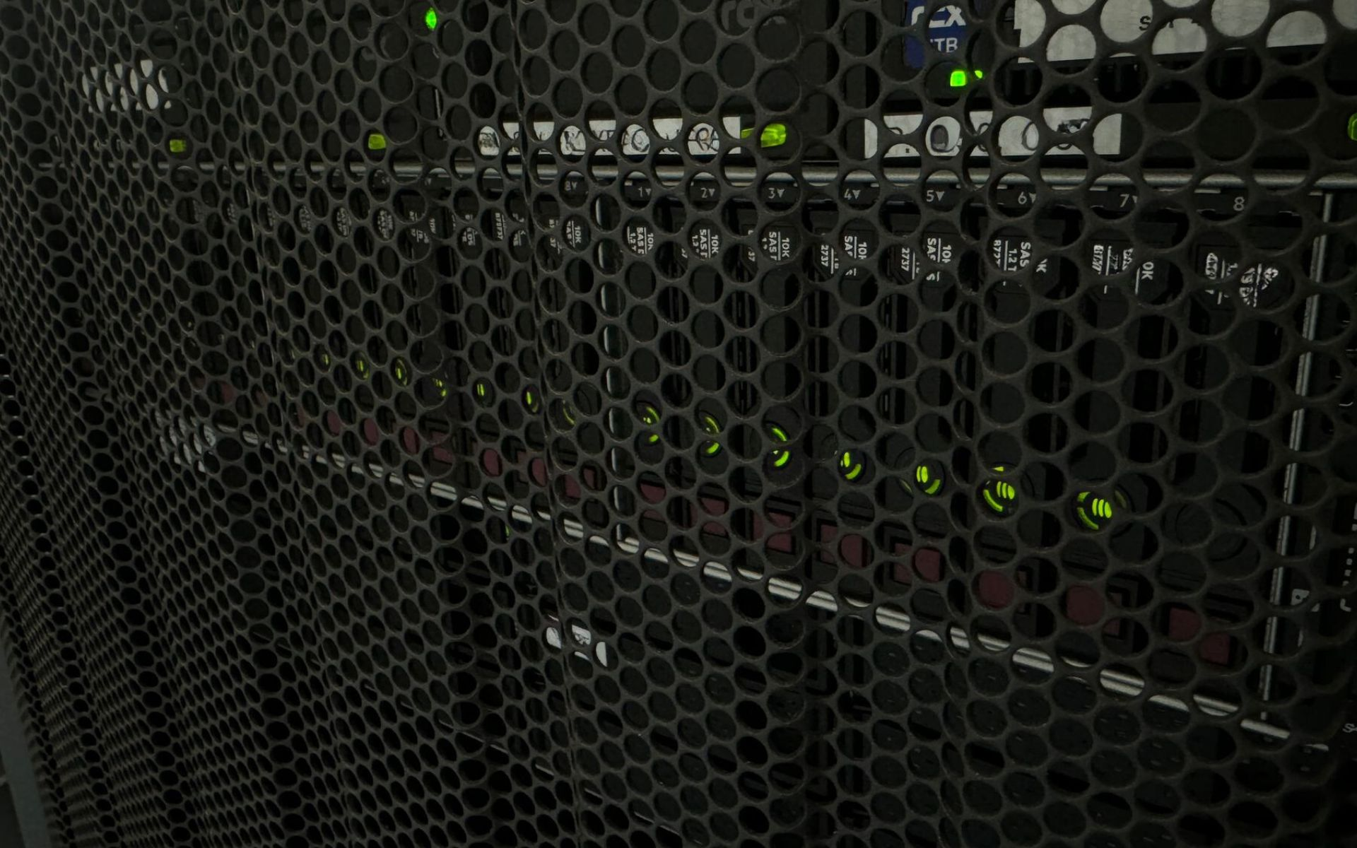 Nahaufnahme eines Serverschranks auf Welchem mehrere Festplatten mit einer grünen LED leuchten